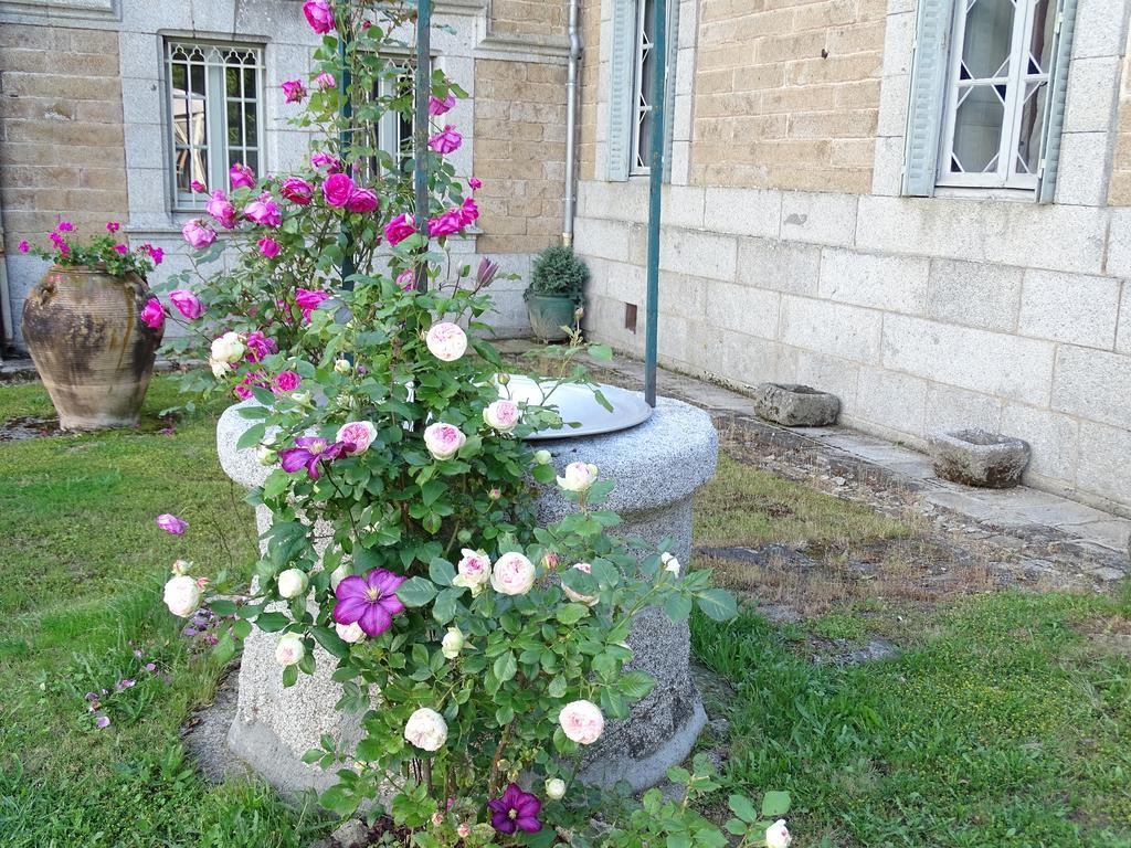 Chateau De Crocq - Chambres D'Hotes De Charme Kültér fotó